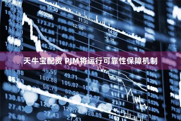 天牛宝配资 PJM将运行可靠性保障机制