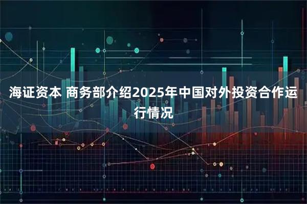 海证资本 商务部介绍2025年中国对外投资合作运行情况