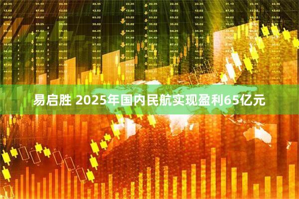易启胜 2025年国内民航实现盈利65亿元