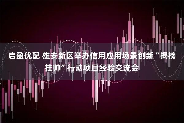 启盈优配 雄安新区举办信用应用场景创新“揭榜挂帅”行动项目经验交流会