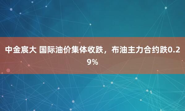 中金宸大 国际油价集体收跌，布油主力合约跌0.29%